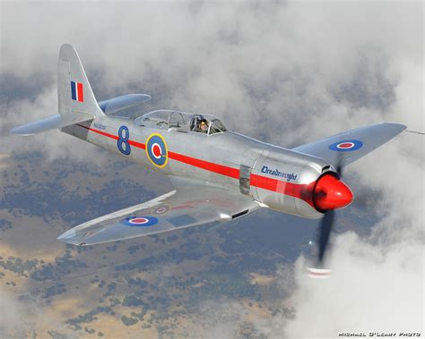 Hawker Sea Fury Guerra Raf Fury Ww2 Fighter Hawker Sea Hd Wallpaper Peakpx