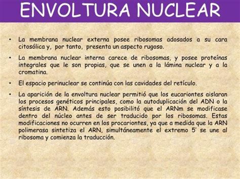 Envoltura Nuclear La