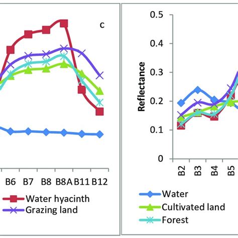 Average Spectral Reflectance Curves Of Different Land Use Cover From