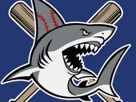 Sharks Baseball Academy Looking For Players New Hyde Park Ny Patch