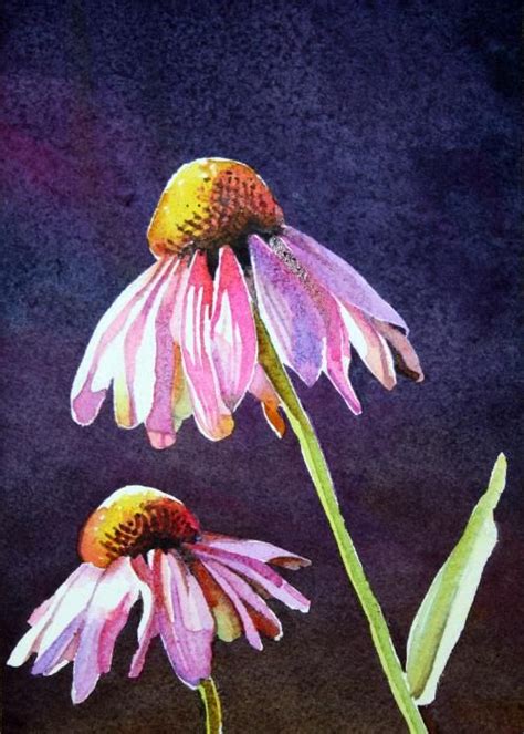 Painting Of Coneflowers For The Backyard Project Art Painting