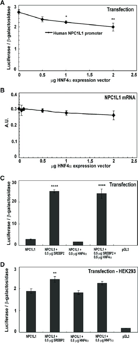 Effects Of Hnf4 On The Human Npc1l1 Promoter A The Human Npc1l1 Download Scientific Diagram