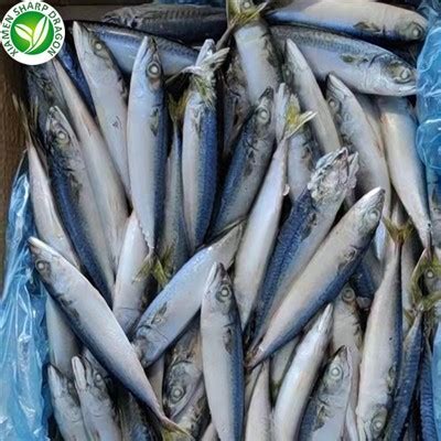 Mackerel nutrition facts list - Knowledge