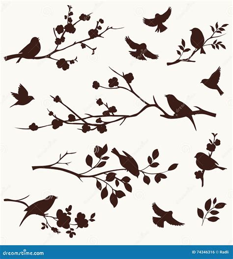 Spring Set Of Bird And Twigs Silhouettes Floral Branches With Birds