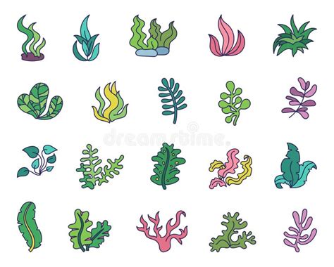 Underwater Sea Plants. Aquarium Planting Stock Illustration - Illustration of design, creativity ...