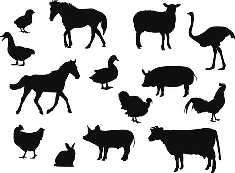 Vector Farm Animal Silhouette Isolated On White Livestock And Poultry