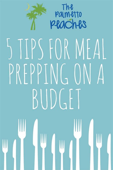 5 Tips For Meal Prepping On A Budget The Palmetto Peaches Tips For