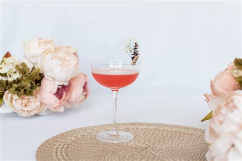 Campari Gin Sour (Gin Cocktail) - The Perfect Recipe