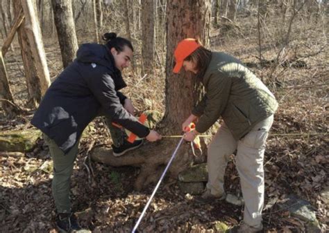 Amateur Archaeologists Needed This Weekend Mercerme