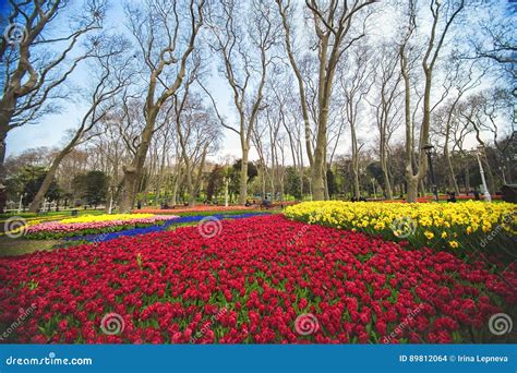 Flowers During The Annual April Tulip Festival In Istanbul In Gulhane