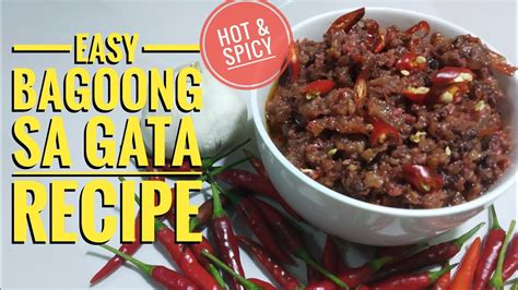 How To Cook Bagoong Alamang Recipe Spicy Bagoong Sa Gata Shrimp