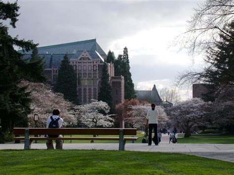 The University Of Washington Seattle Campus The Blooming Flickr