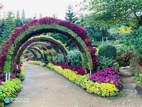 Top 10 Beautiful Flower Farms And Gardens In The Philippines Guide To