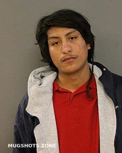 Jose Luis Estrada Chicago Mugshots Zone