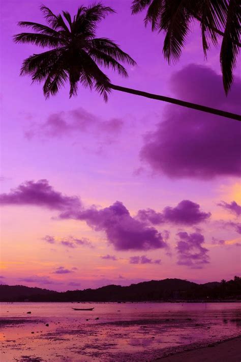 Sunset Colors iPhone Wallpaper HD | Tree wallpaper purple, Tree ...