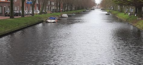 Bertus De Tweede Keert Zeehond Terug In Den Helder Regio Noordkop