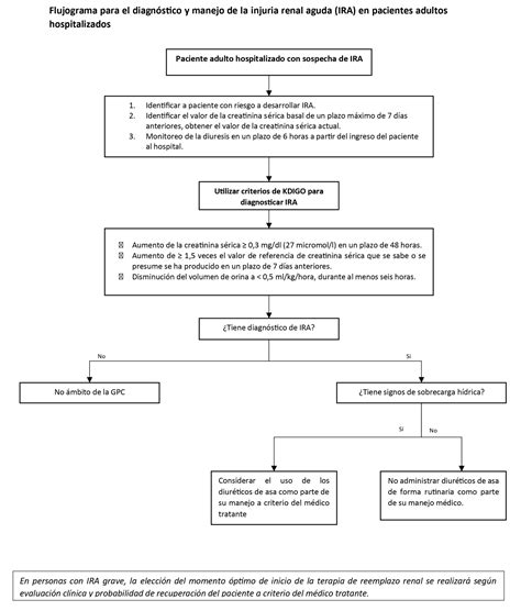 Guía de práctica clínica para la prevencion y manejo de la injuria