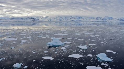 Climat pour l Antarctique et le niveau des mers chaque degré compte