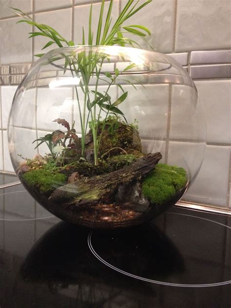 Tabletop Terrains Terrarium Decor Table Top