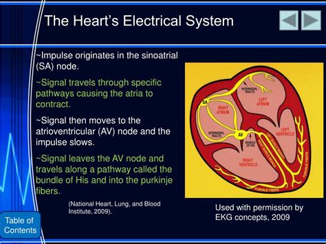 Ppt Atrial Fibrillation Powerpoint Presentation Free Download Id