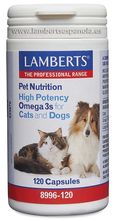 Omega 3 Para Perros Online Ladorrego Ar