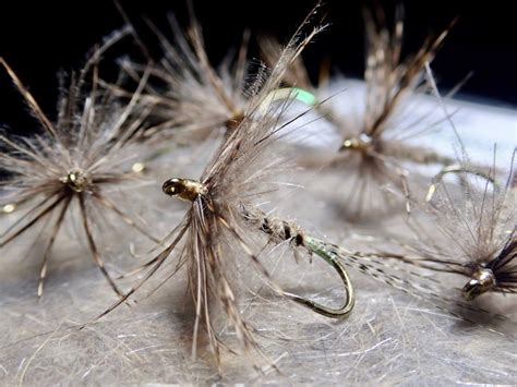 Fly Fishing Flies