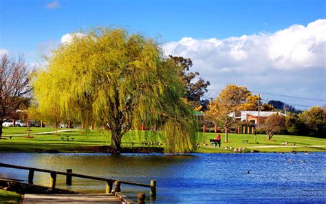 feature region  zealand majestic masterton family parks