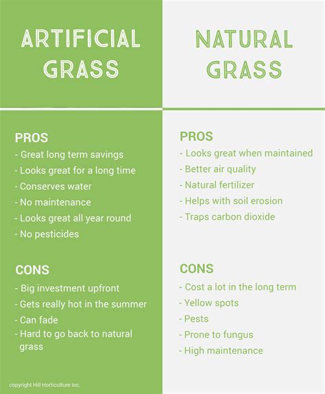 Artificial Grass vs. Natural Grass Comparison | Hill Horticulture