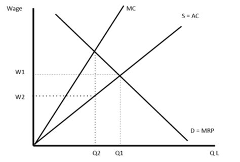 Market Failure In Labour Markets MICRO Flashcards Quizlet