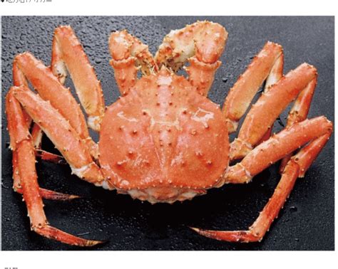 Fresh Blue King Crab Clusters From Okhotsk Sea Of Russia Buy Blue