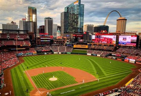 Redbirds go to bat for St. Louis Cardinals - News - Illinois State