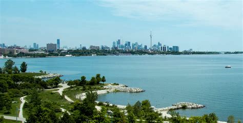 Welcome to Mimico | Linda Tickins & Co.