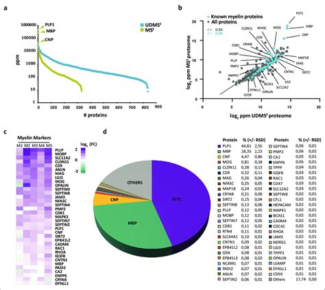 Proteome Analysis Of Human Central Nervous System CNS Myelin A