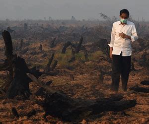 Carian Mengenai Topik Palm Oil Plantation Astro Awani