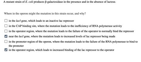 Solved A Mutant Strain Of E Coli Produces ß Galactosidase