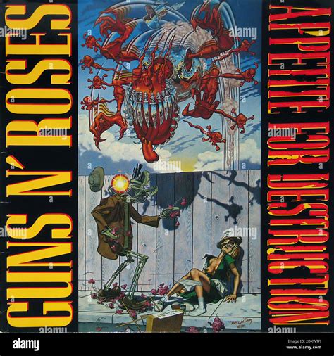 Guns N Roses Appetite For Destruction Vintage Vinyl Record Cover