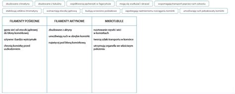 pomorze ktoś pls Uzupełnij informacje na temat cytoszkieletu Brainly pl