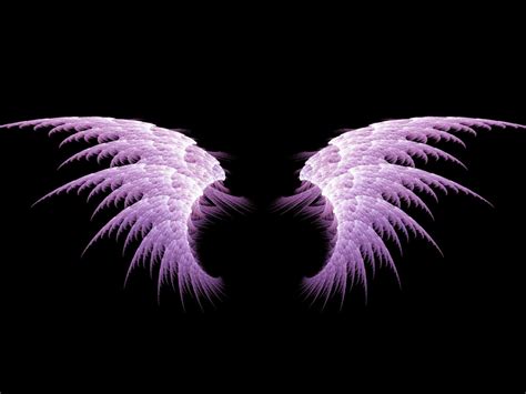 Wallpaper Sayap Wing Purple Violet Feather Symmetry 296997