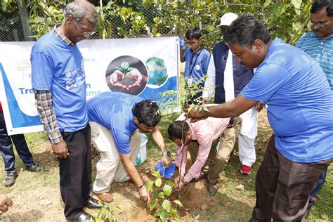 Damooga Foundation Ngo In India Tree Plantation In India Non