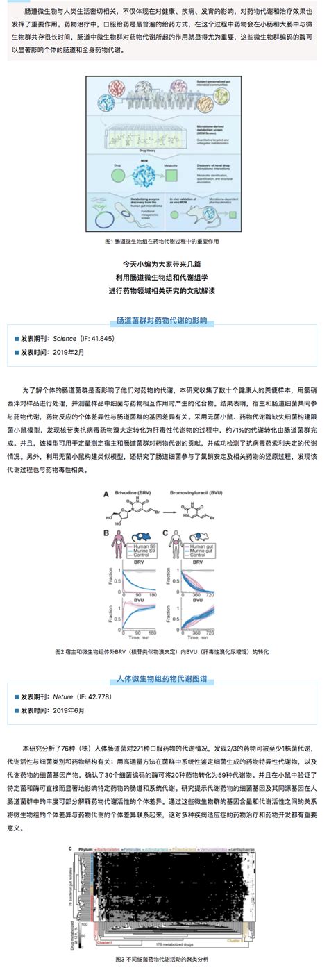 微生物组与代谢组联合研究 药物领域的研究和应用专题 自主发布 资讯 生物在线