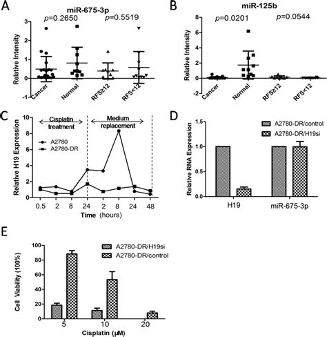 H19 Over Expression Contributes To Cisplatin Resistance A Mir 675 3p