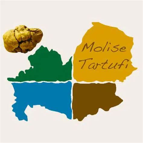 Molise Tartufi Archives Molise Food Le Eccellenze MoliSane