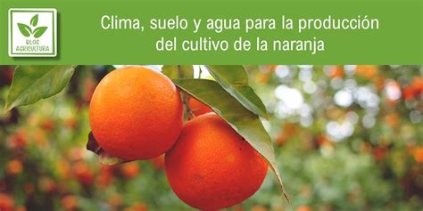 Clima suelo y agua para la producción del cultivo de la naranja