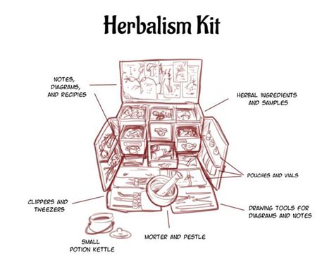 DND 5e Herbalism kit sketch | Warlock dnd, Dnd druid, Dungeons and ...