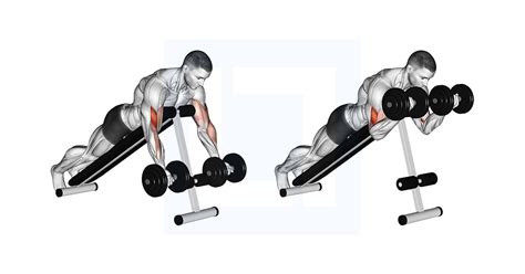 Dumbbell Prone Incline Curl - Guide, Benefits, and Form