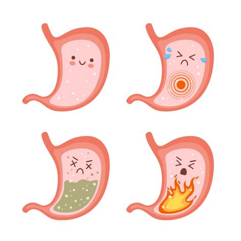 Erkrankungen Des Magen Darm Traktes Chronische Gastritis Der