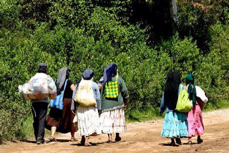 Migración del campo a la ciudad Esteban de Regil