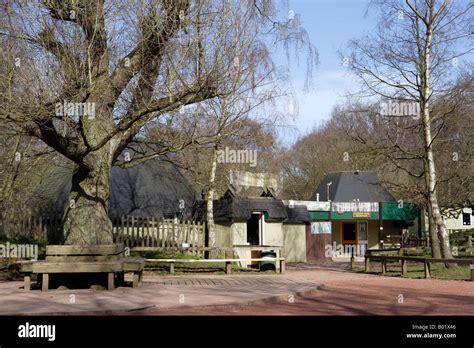 Sherwood Forest Visitor Centre Nottinghamshire Stock Photo - Alamy