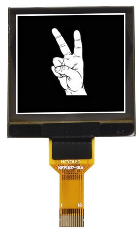 Pmoled Display For Various Industries 1 5 Inch 128X128 Perfect For