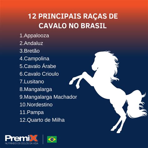 Todas As Raças De Cavalo - 10